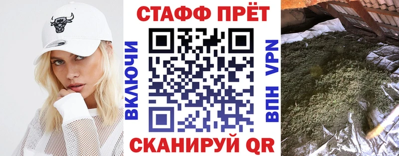 Где купить Ладушкин КОКАИН Меф Гашиш