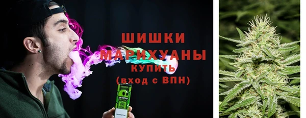 прущие грибы Вязники