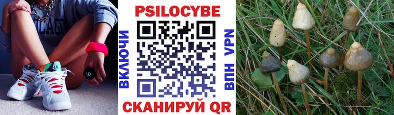 площадка наркотические препараты  купить наркотики сайты  Ладушкин  Галлюциногенные грибы мицелий 