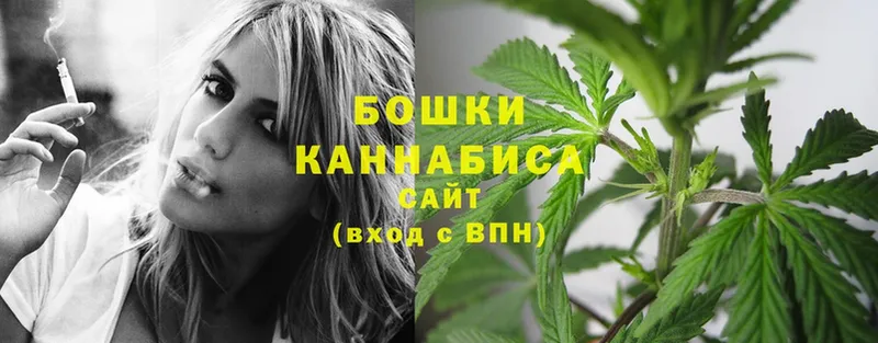 как найти наркотики  Ладушкин  блэк спрут ссылка  Бошки марихуана THC 21% 